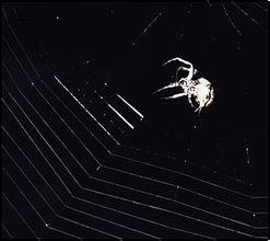 �����齫����Ĥ��Ƶ�������ձ������������й����С�����ս�ۡ�...