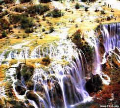 �����ܺ��ӵļ�����Ƶ����ݸ38��ɣ�ó�����465��KTV��631�������ָ�Ӫҵ...